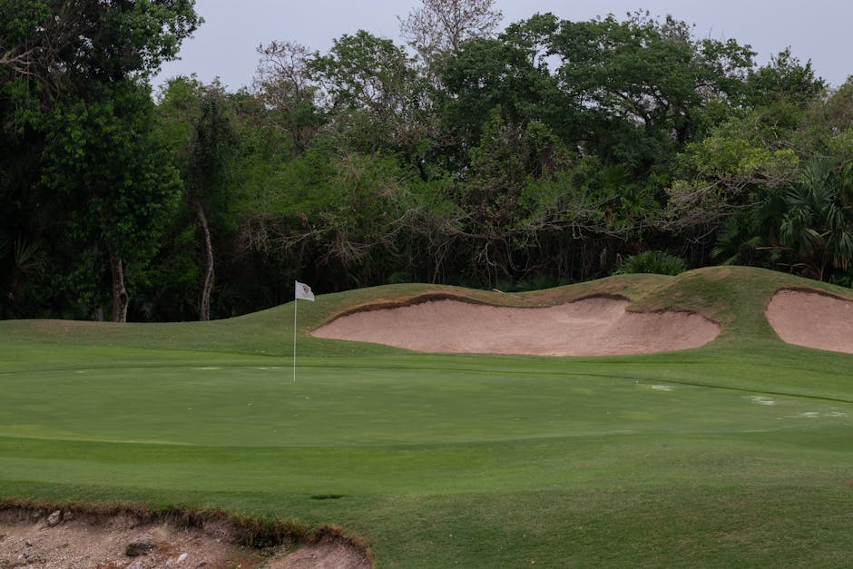 Serene view of a golf course with green grass, sand bunkers and surrounding foliage.