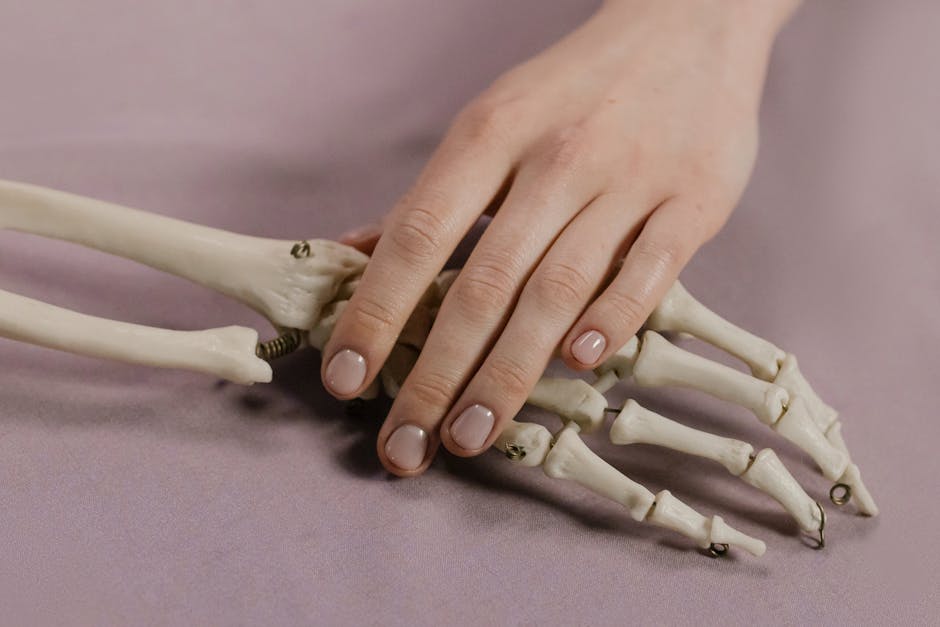 A close-up image of a human hand touching a skeleton hand on a soft background.